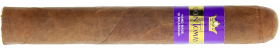Сигара Don Tomas NIC Robusto Bundle