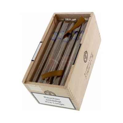 Сигары Principle Accomplice Corojo Purple Band Lancero